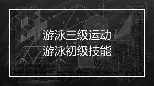 游泳三级运动　游泳初级技能
